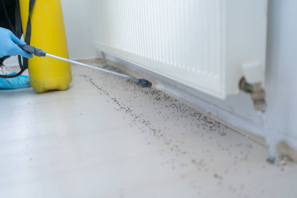 Best Pest Removal Services  in Samson, AL