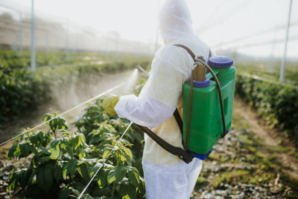 Best Pest Control for Homes  in Samson, AL